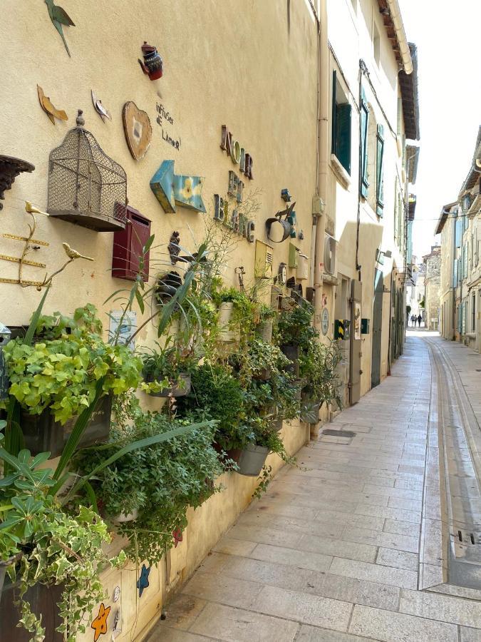 Le Loft City, Au Coeur Du Village Saint-Rémy-de-Provence Eksteriør billede
